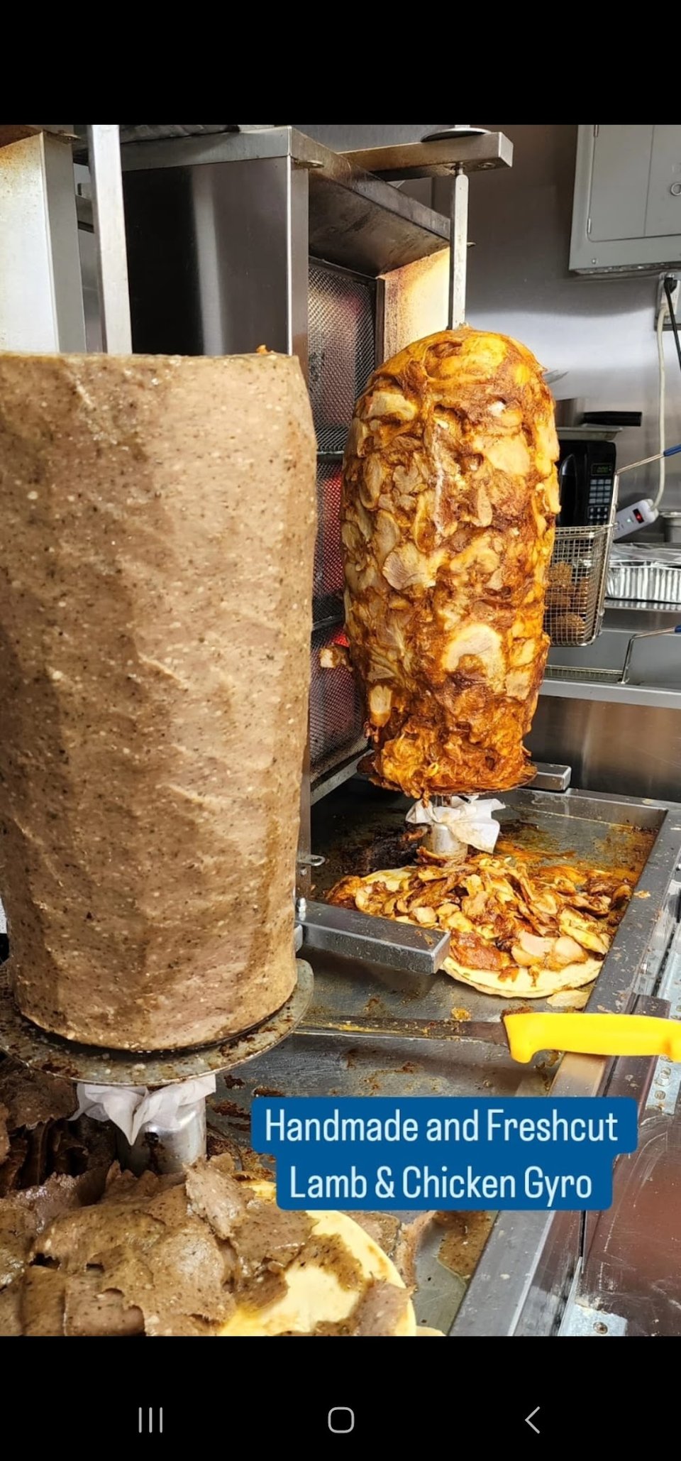 Chicken Gyro and Lamb Gyro