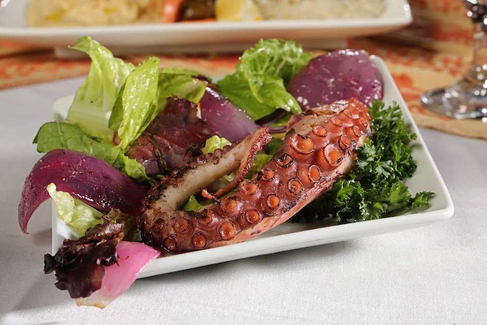 Grilled Octopus